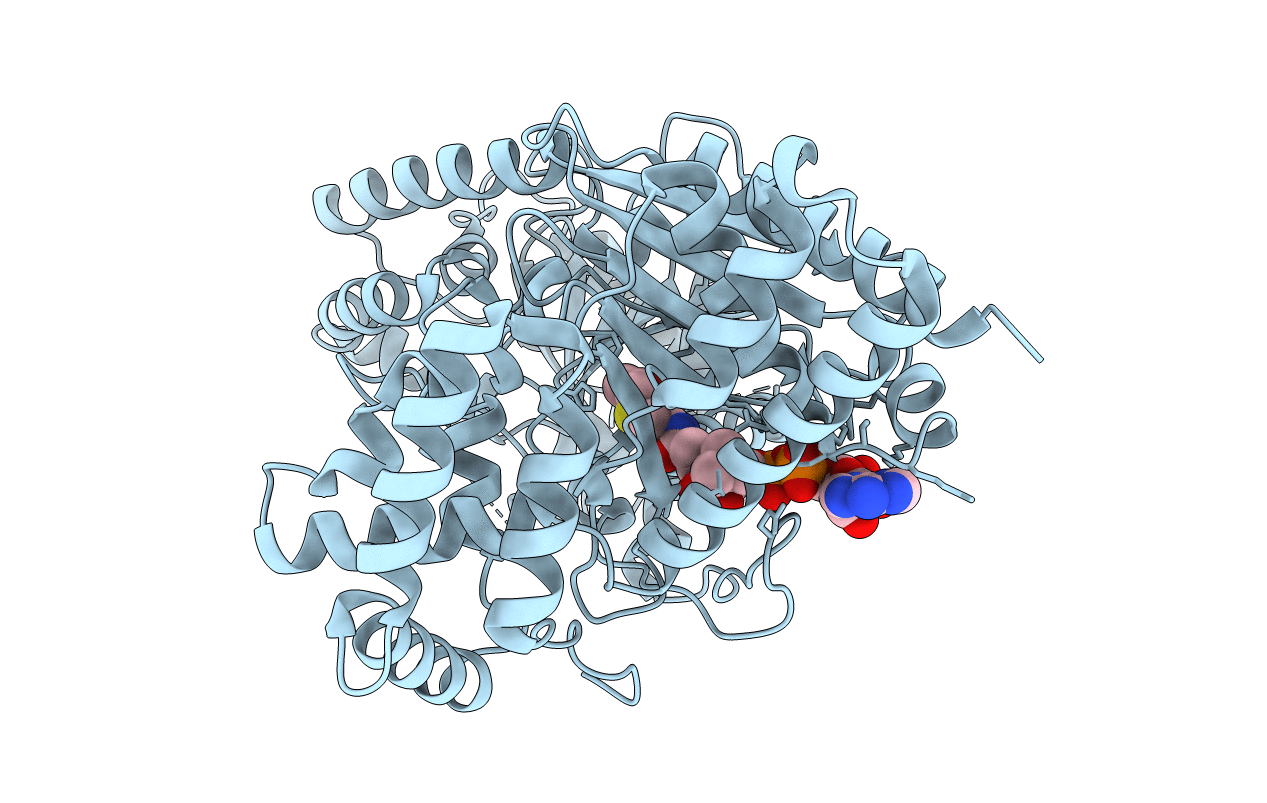 2FY5 image