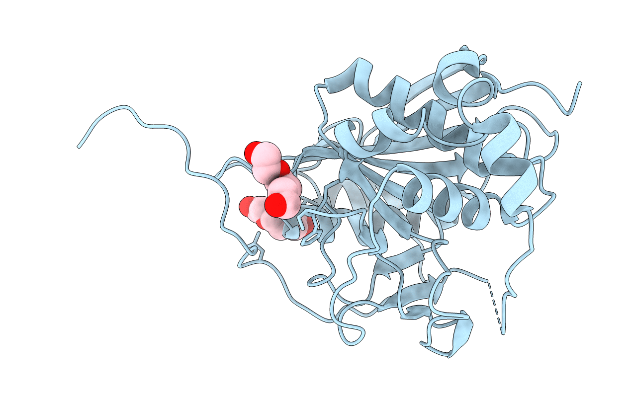 2FY7 image