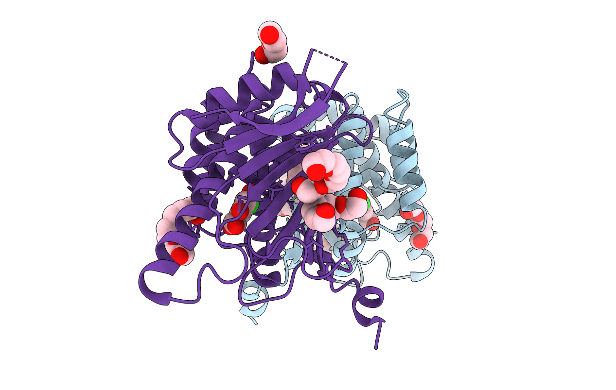 2FYP image