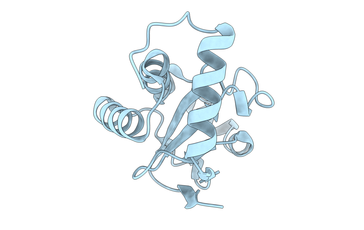 2FZP image