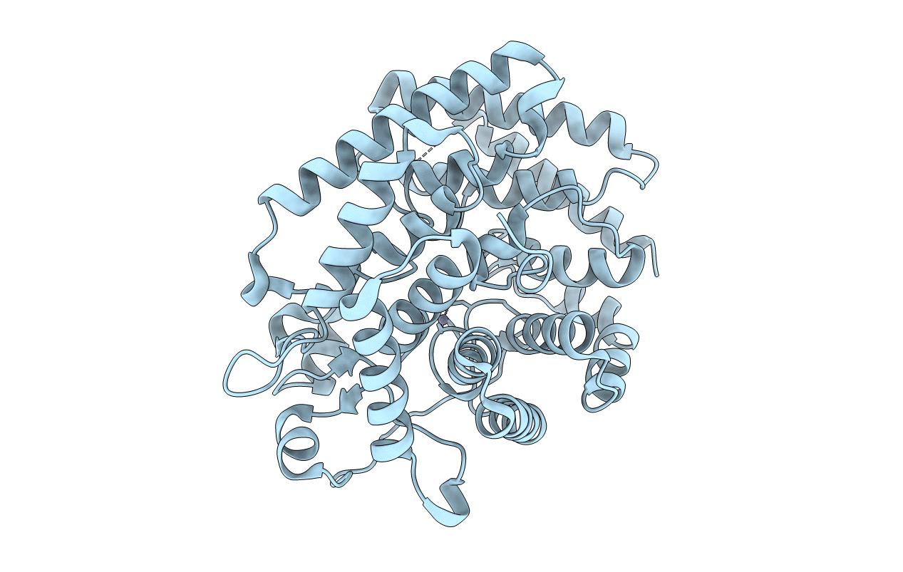 2G02 image