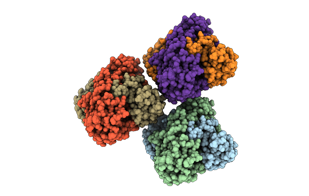 2G04 image