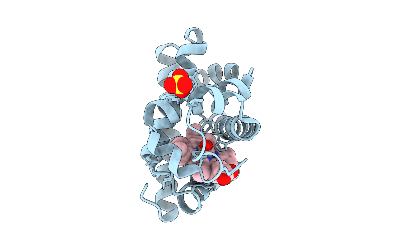 2G14 image