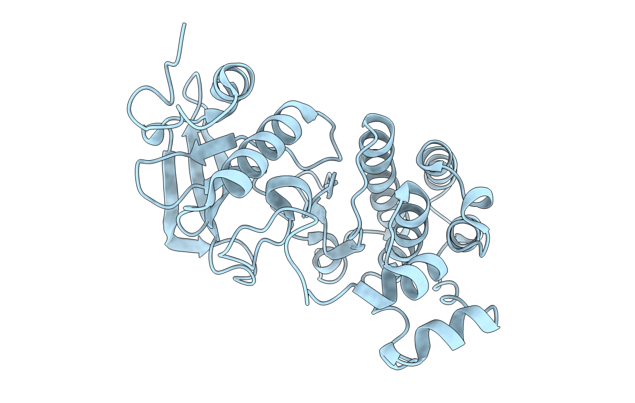 2G15 image