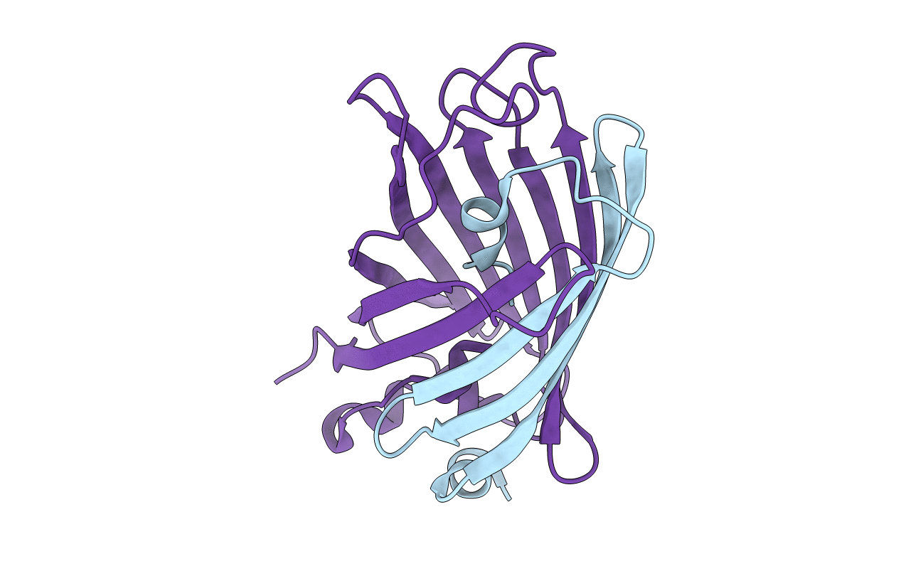 2G16 image