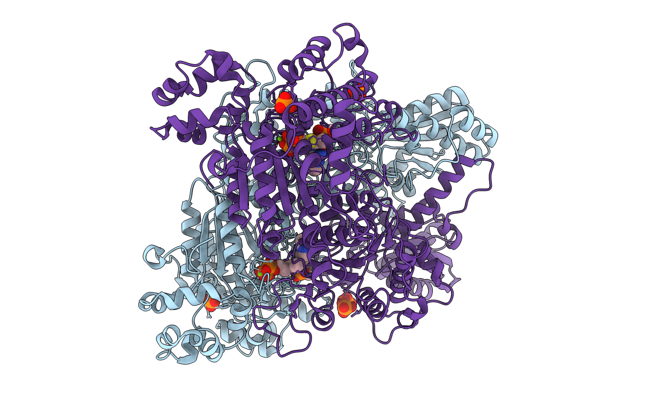 2G25 image