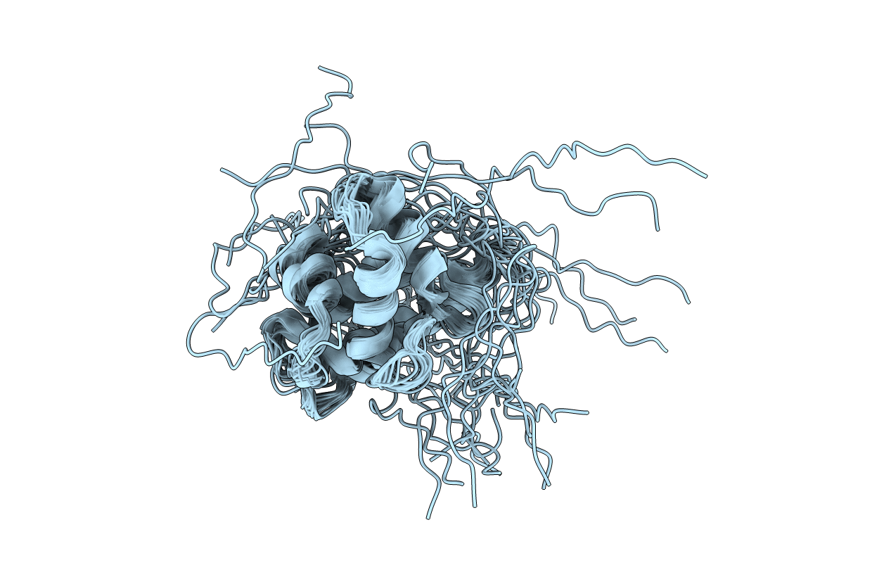 2G2B image