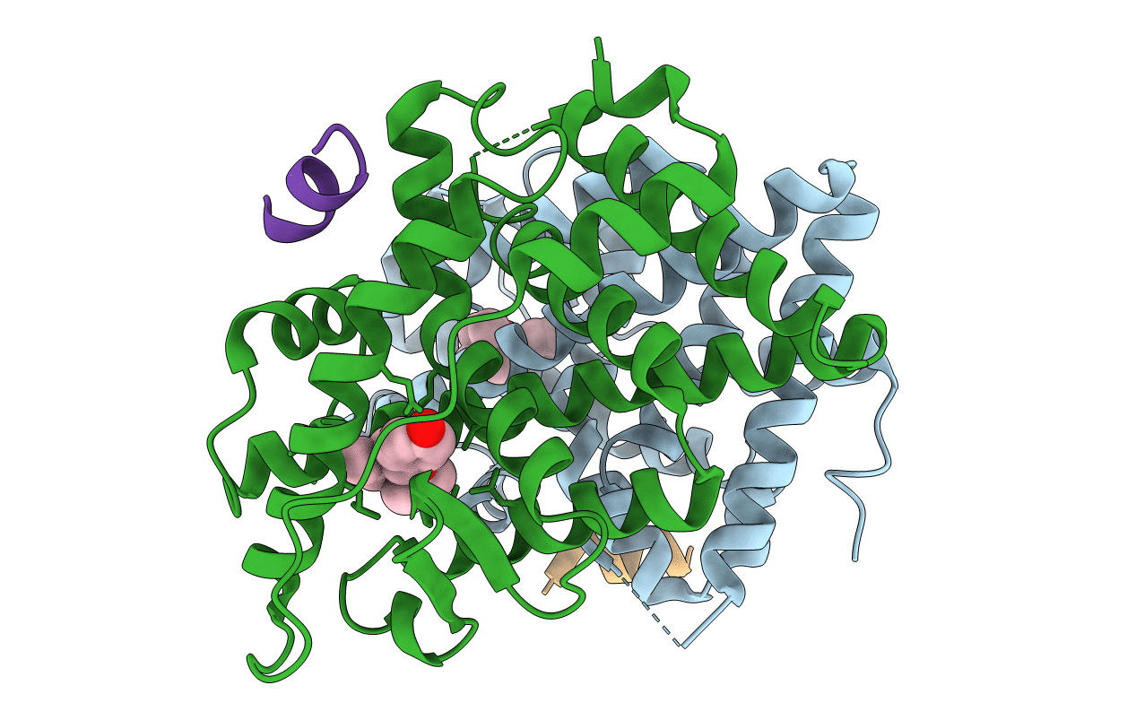 2G44 image