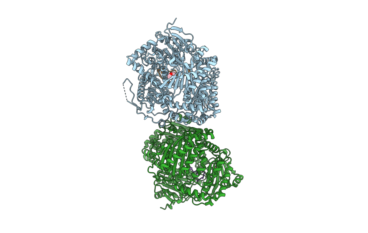 2g48 image