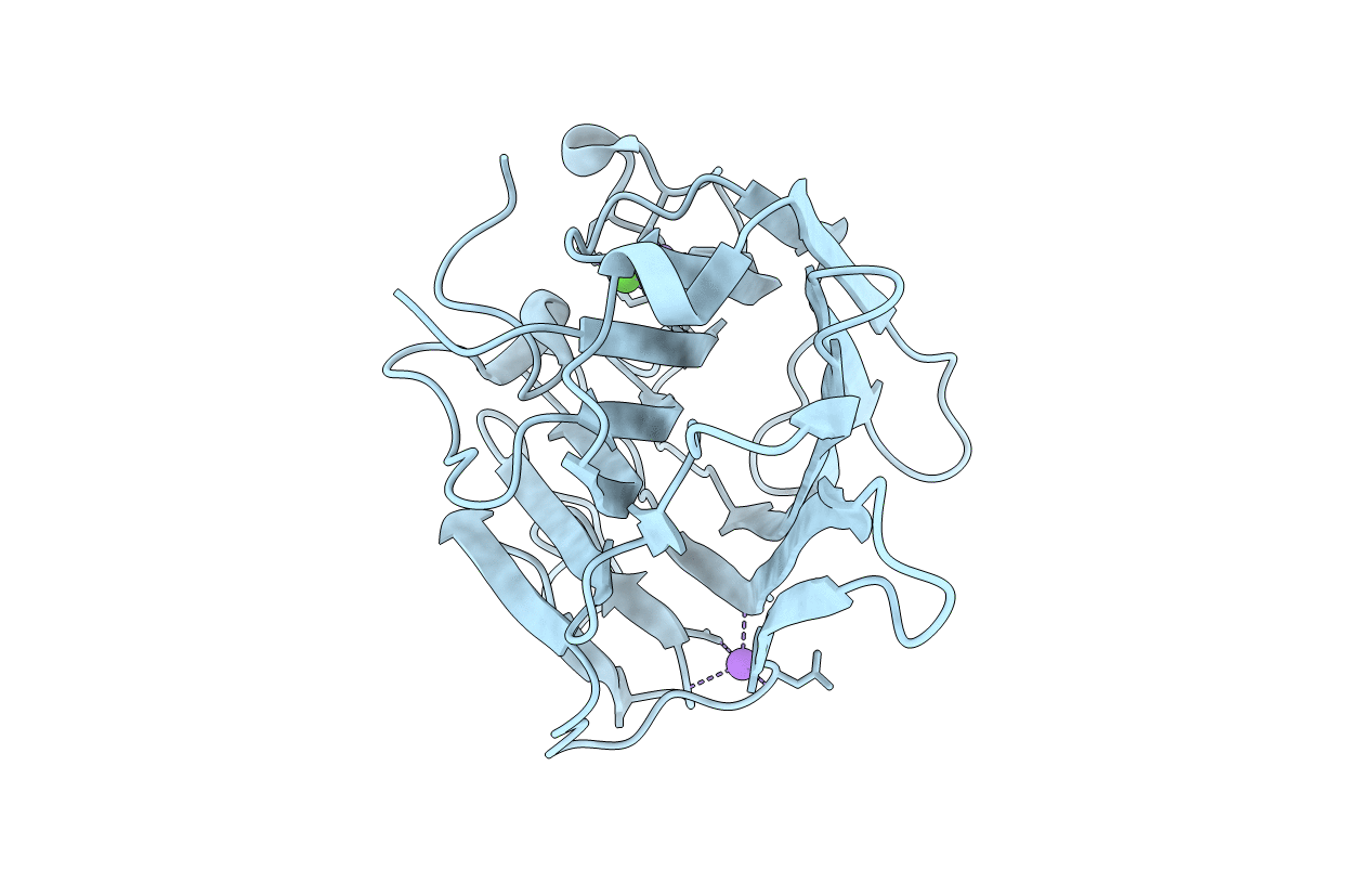 2G4I image