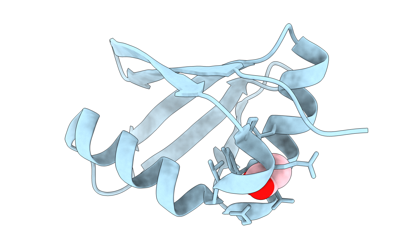 2G4S image