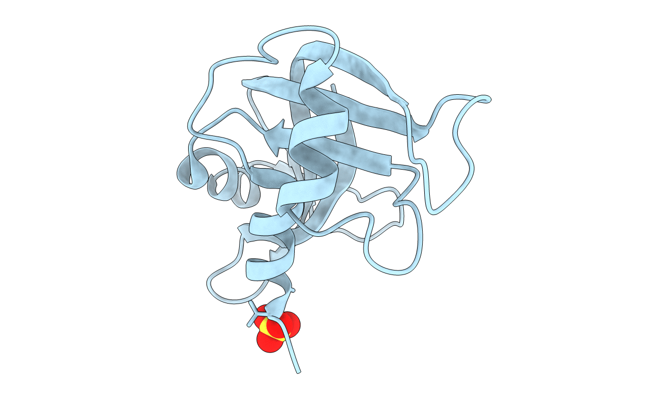 2G4X image