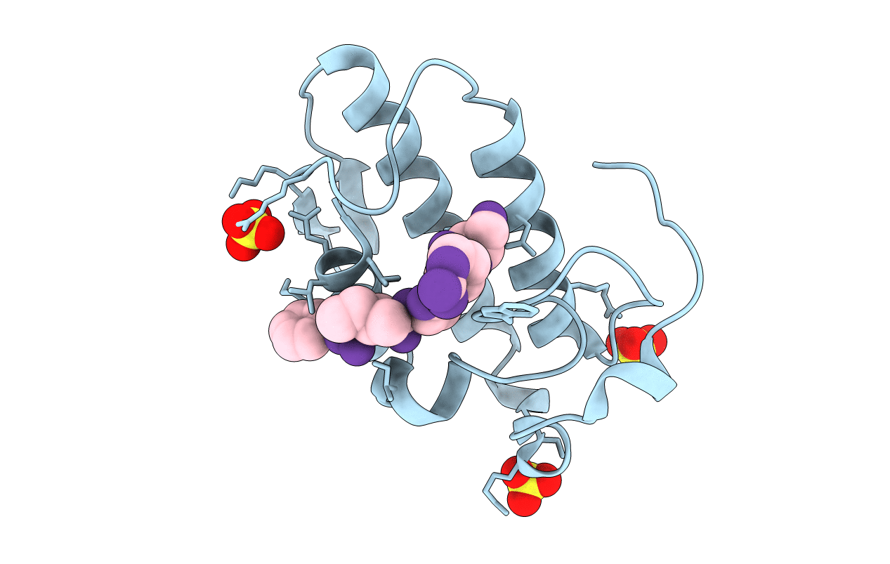 2G58 image