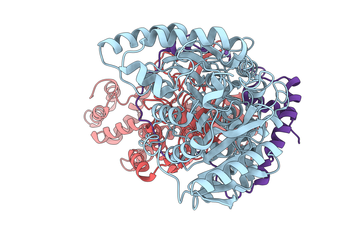 2G5H image