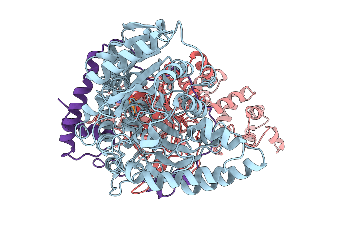 2G5I image