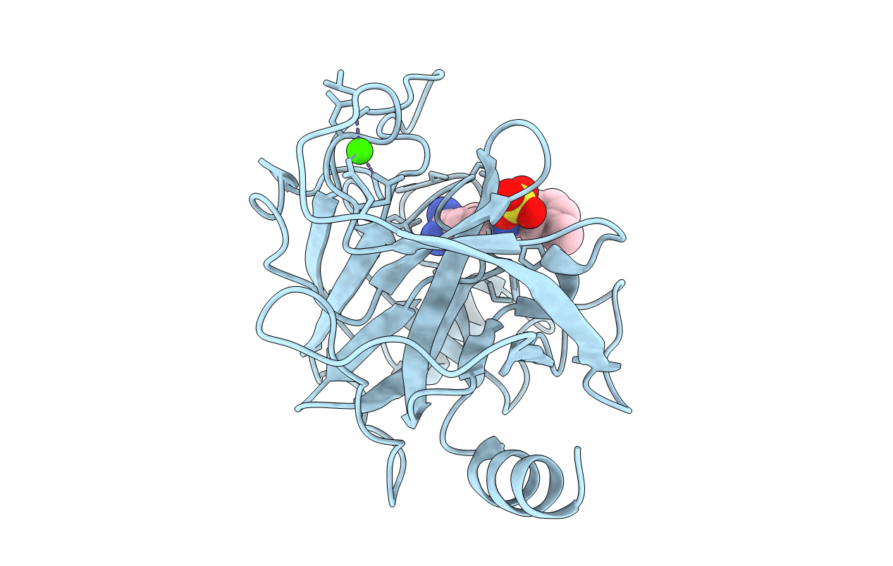 2G5N image