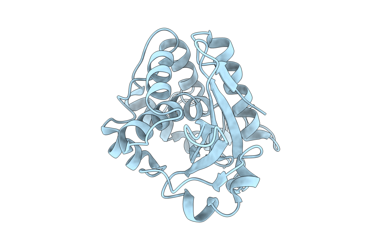2G5X image