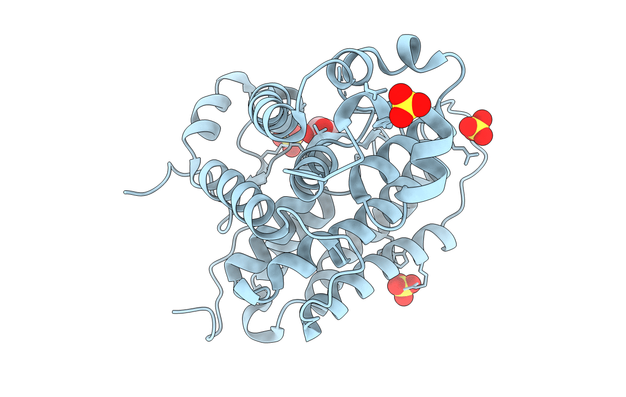2G62 image