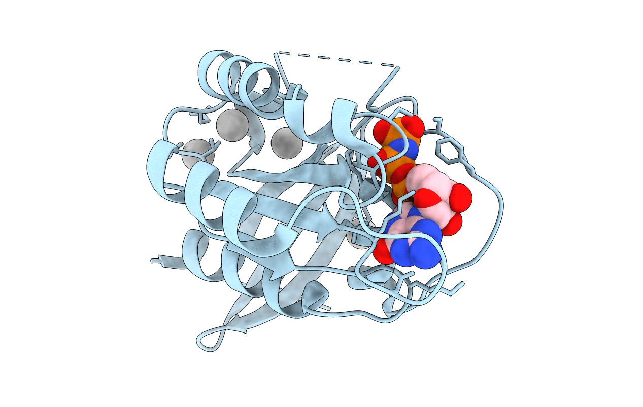 2G6B image