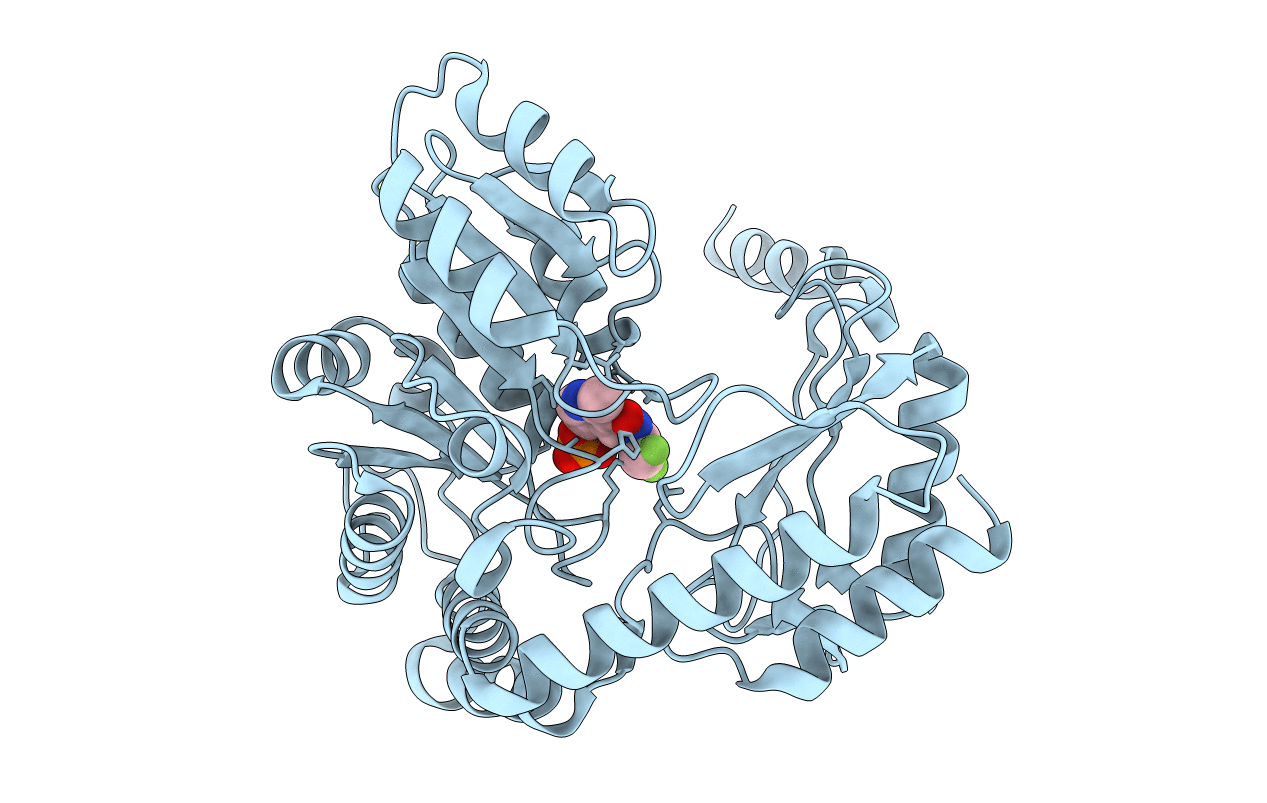 2G6W image