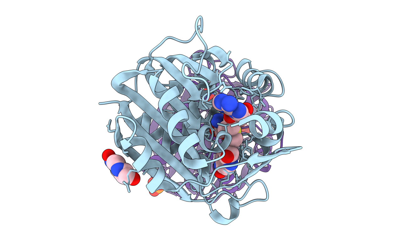 2g70 image