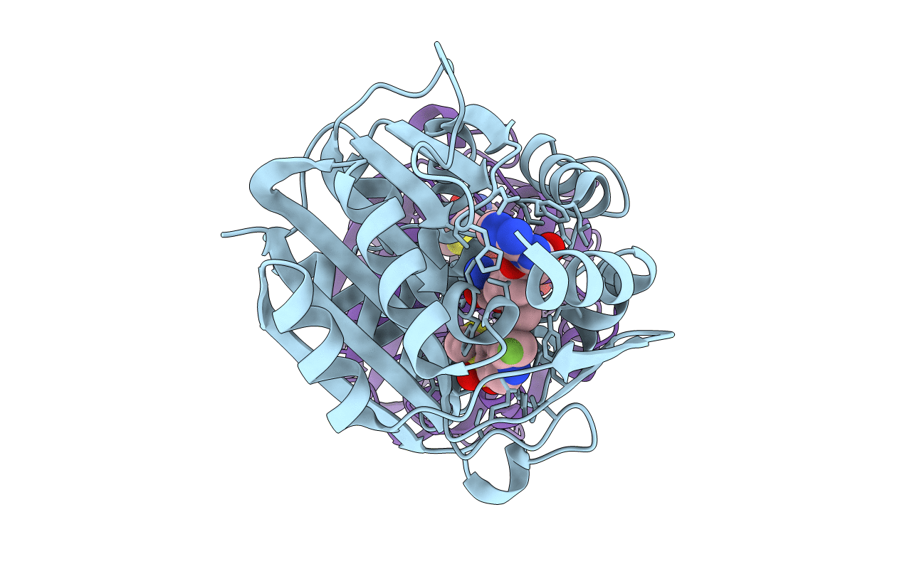 2G72 image