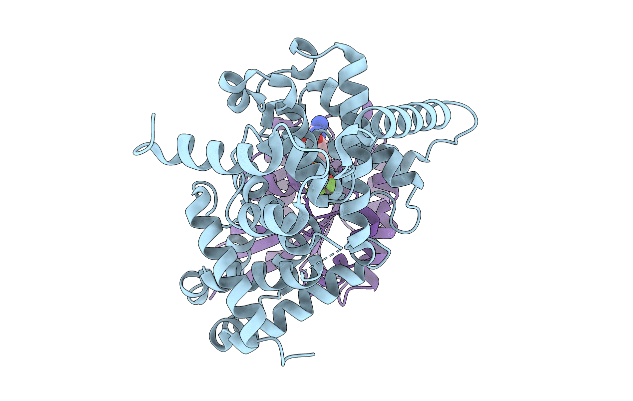2G77 image