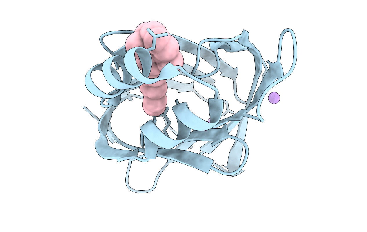 2G7B image