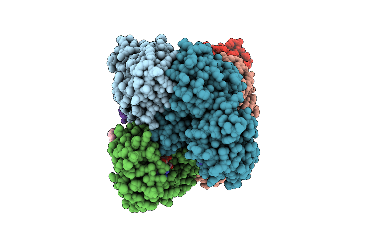 2G82 image