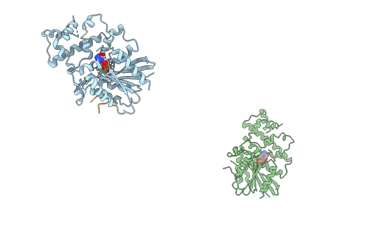2G83 image