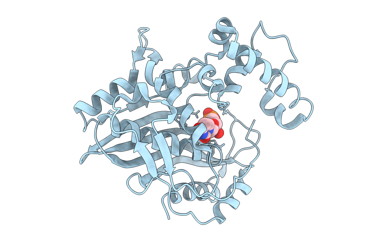2G89 image