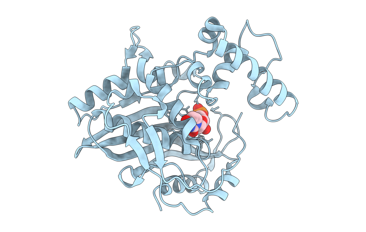 2G8A image