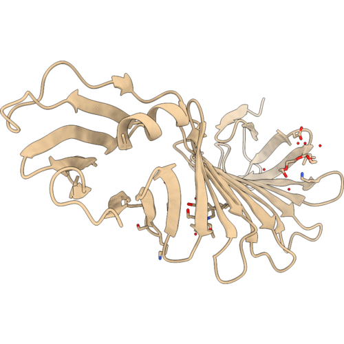 2G8C image