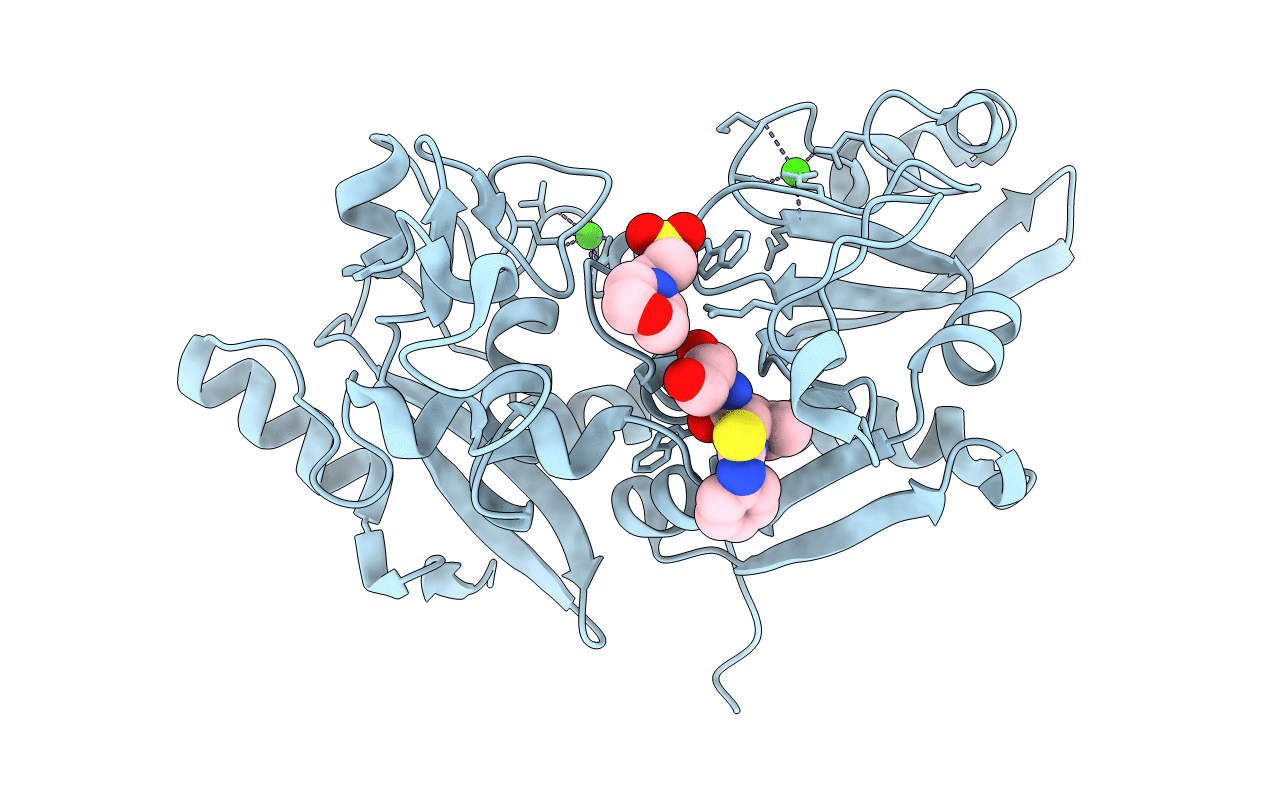 2G8E image