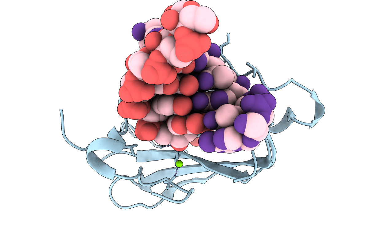 2G8H image