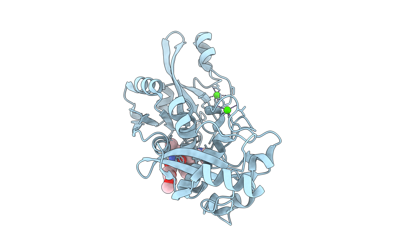 2G8J image