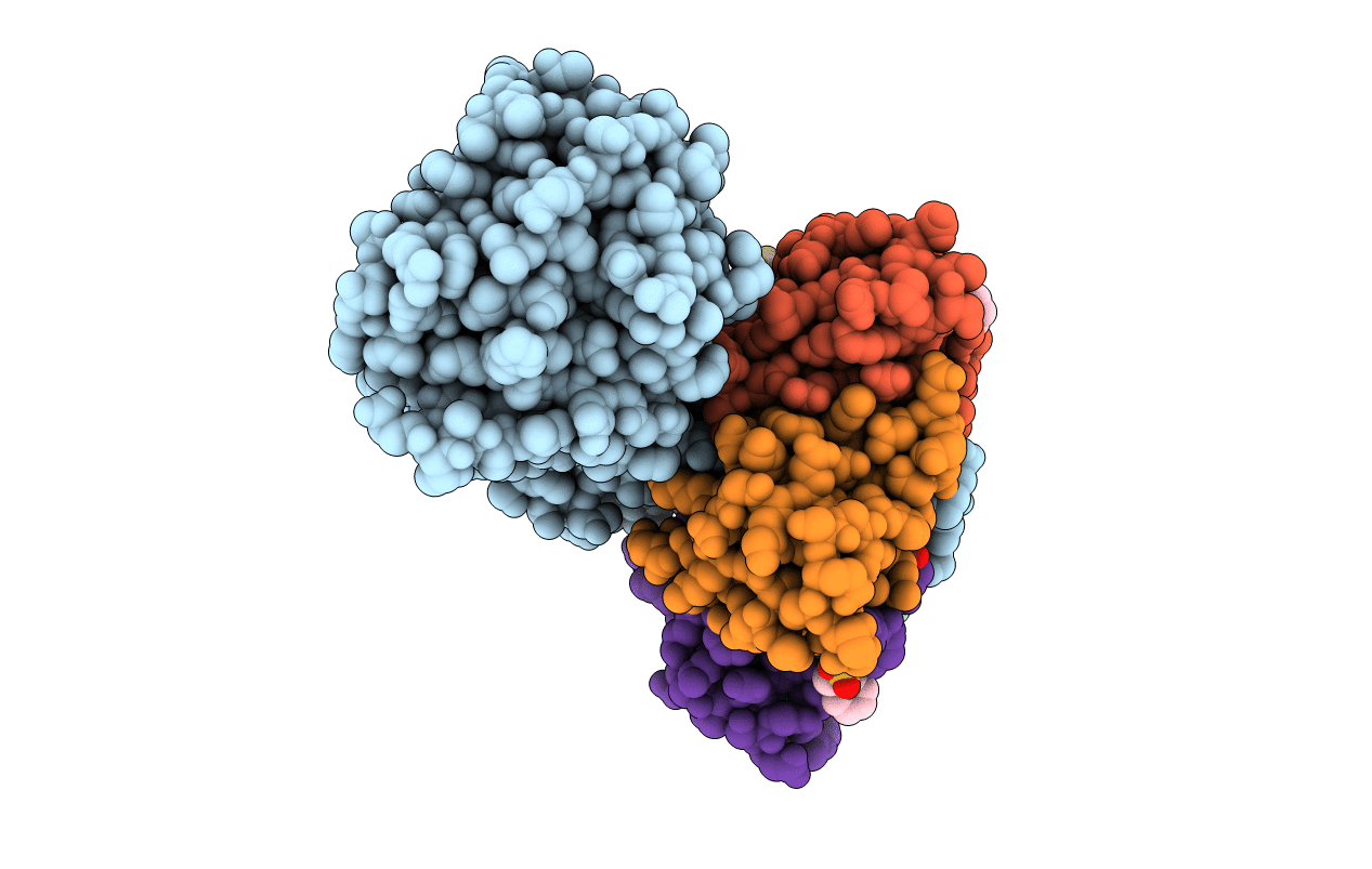 2GA4 image
