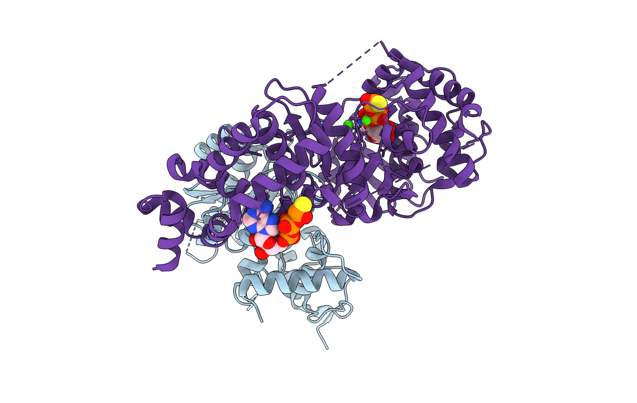 2GA9 image