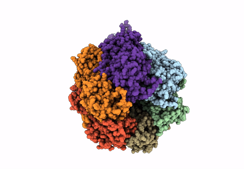 2GBL image