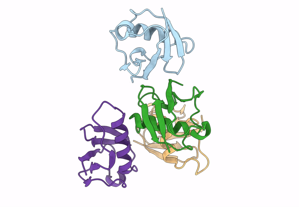 2GBM image