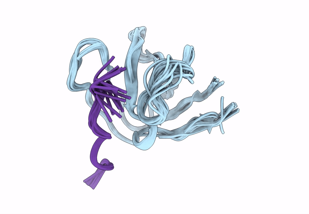 2GBQ image