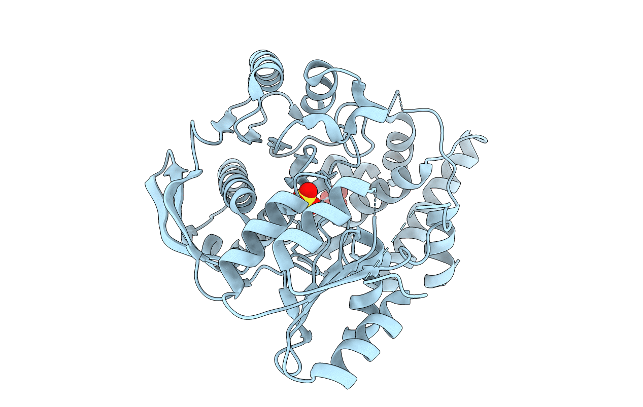 2GC5 image