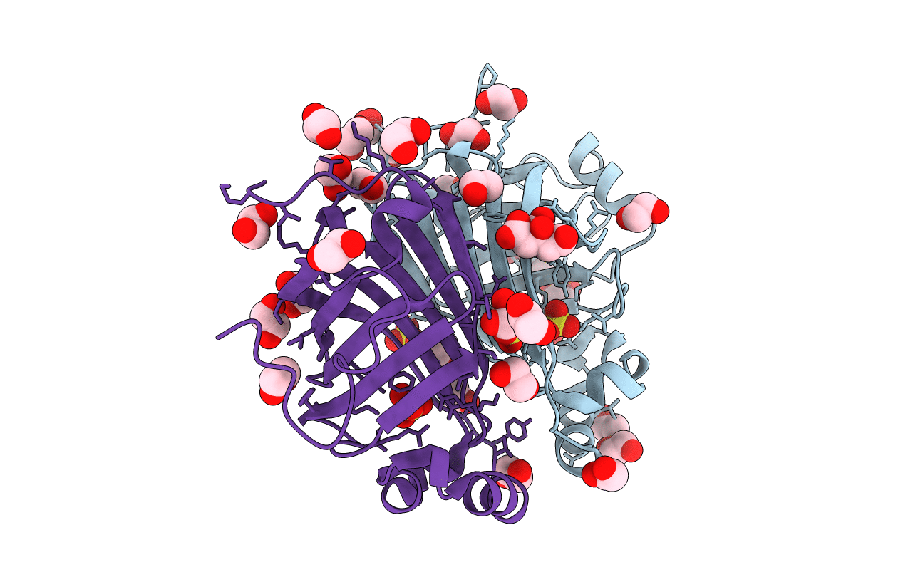 2GC9 image