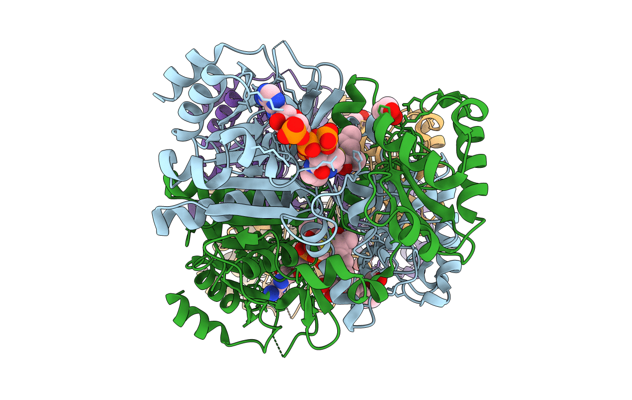 2GCI image