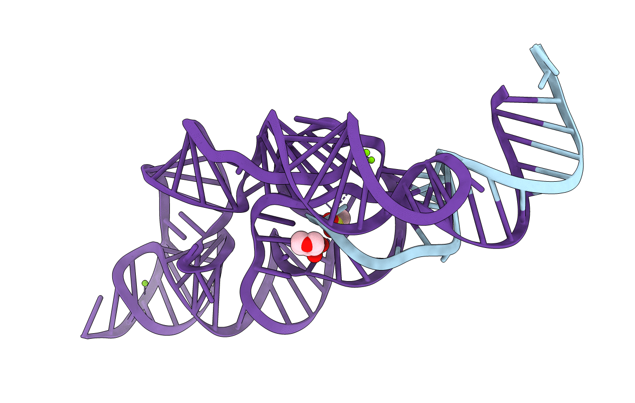 2GCV image
