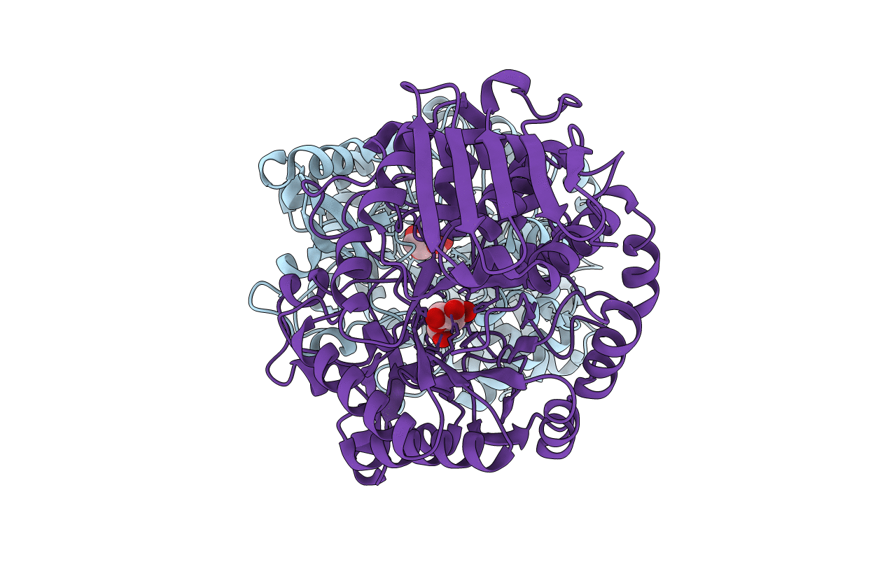 2GDV image