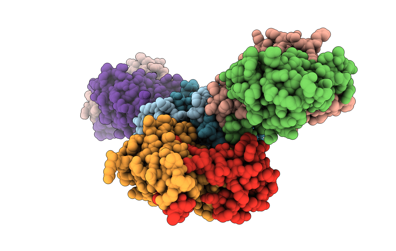 2GE8 image
