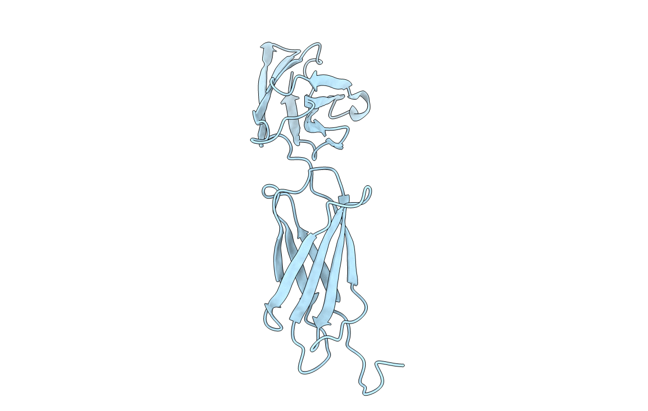 2GEE image