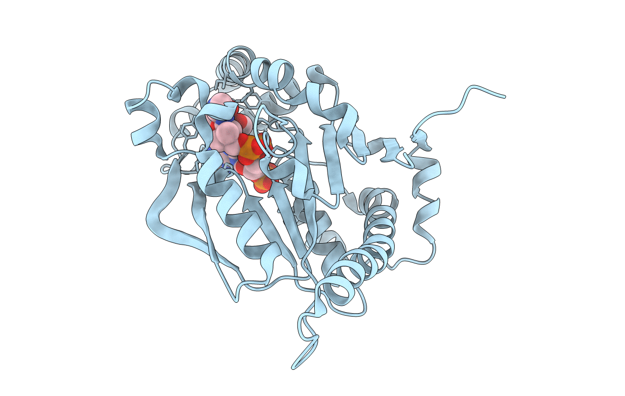 2GES image