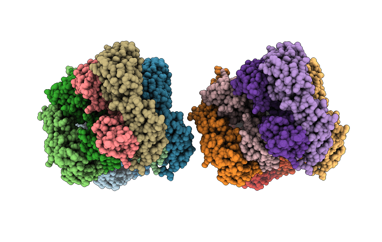 2GFB image